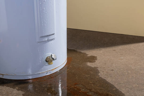Drip, Drip, Disaster? Everything You Need to Know About Water Heater Leaks